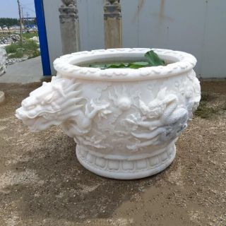 想養(yǎng)好花，怎樣選擇更適合的花盆？